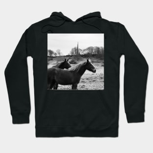 Horses and Bomber Command Centre, Lincoln Hoodie